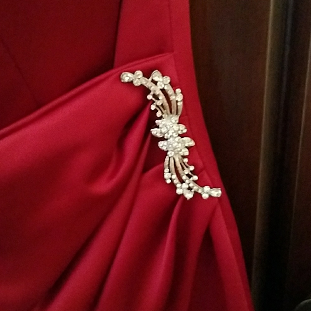 David's Bridal Bridesmaid Dresses - Picture 4 of 8
